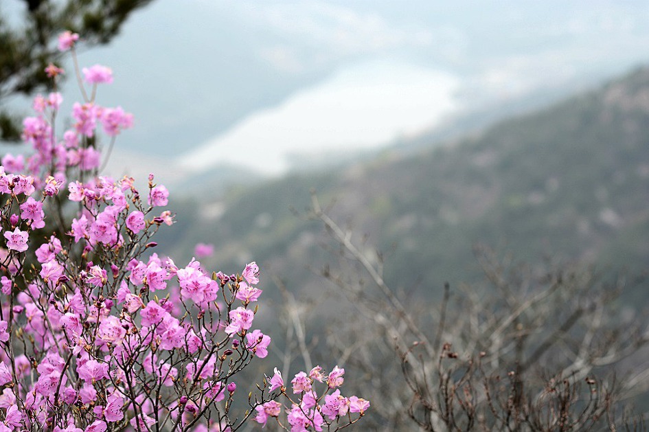 창녕 영취산