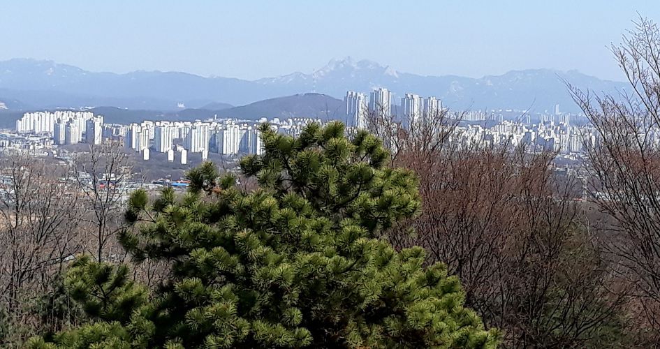 심학산, 파주