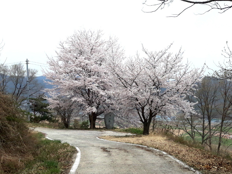 농장 꽃잔치 열렸습니다 