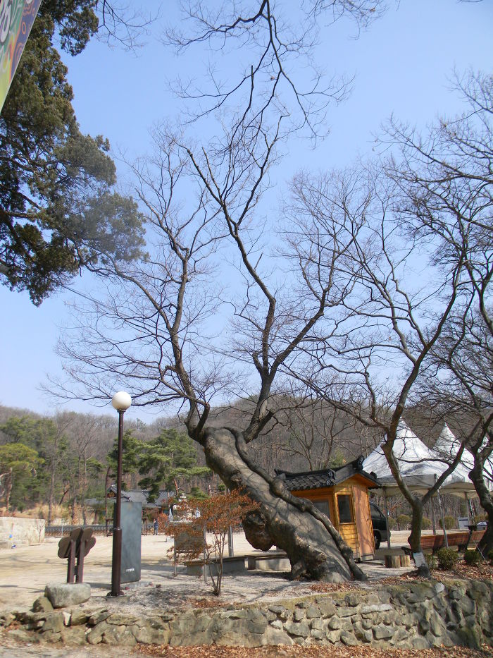 고양 흥국사 마무리 (명부전, 대방, 대방에 봉안된 목조아미타여래좌상과 극락구품도)