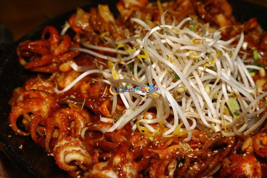 쭈꾸미와 흑돼지의 불맛구이 제주시 한경면 맛집 미온당 쭈꾸미흑돼지 철판구이 제주도여행