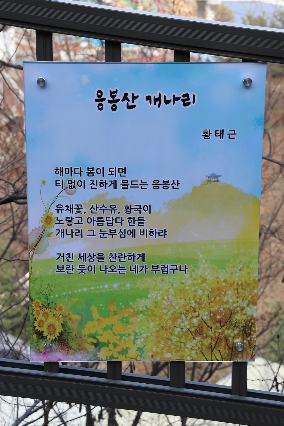'2019 응봉산 개나리축제의 풍경'을 가득 담았습니다.   4/5    (20190331) 