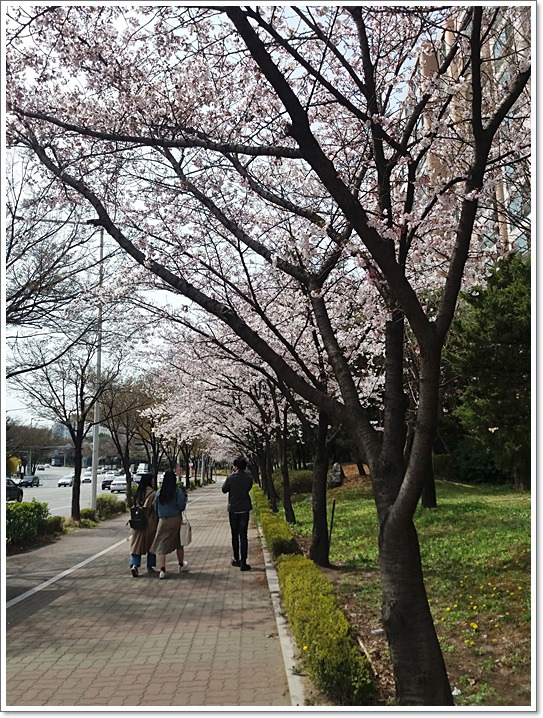 우리동네도 꽃동산