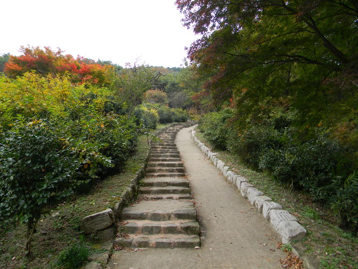화순 쌍봉사의 오랜 보물들 ~~~ (철감선사탑비, 철감선사탑, 3층 목탑인 대웅전)