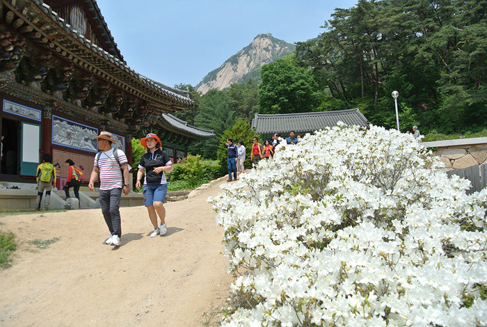 원본이미지(클릭)