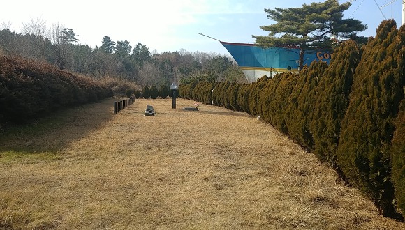 바다는 역시 겨울바다지요..(Sea is winter sea too..)ทะเลเป็นฤดูหนาวมากเกินไป