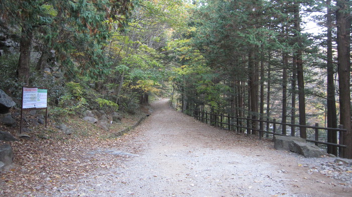 지리산 피아골 단풍 산행기