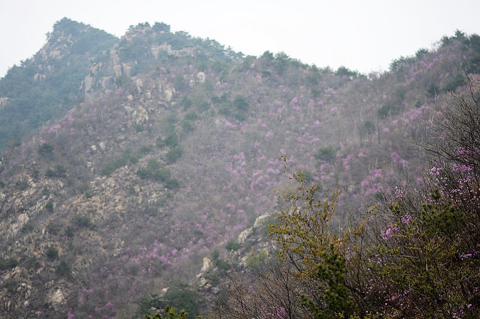 창녕 영취산