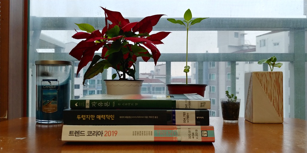 논문 리젝. 상심한 당신에게.