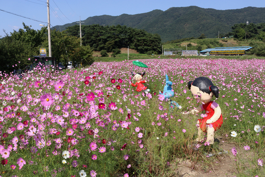 광주세계수영선수권대회 수리와 달이 평촌 코스모스꽃길 걸어보아요