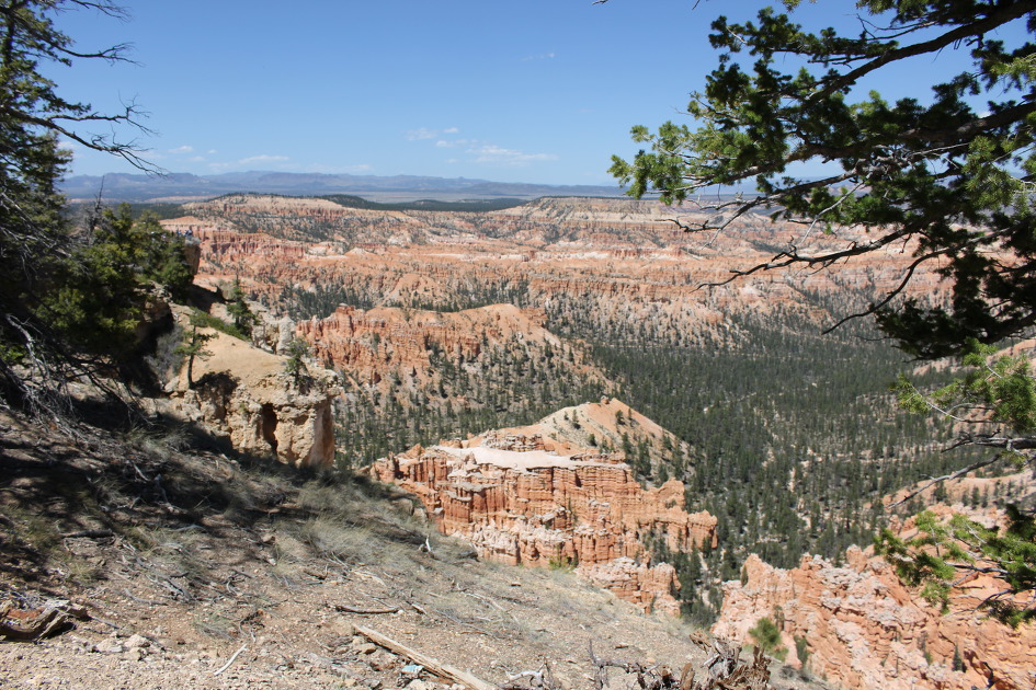 [Bryce Canyon NP]붉은색,주황색, 분홍색이 선명한 후두가 만든 마치 다른 세상 같은 미로[그랜드 서클 여행 #5]