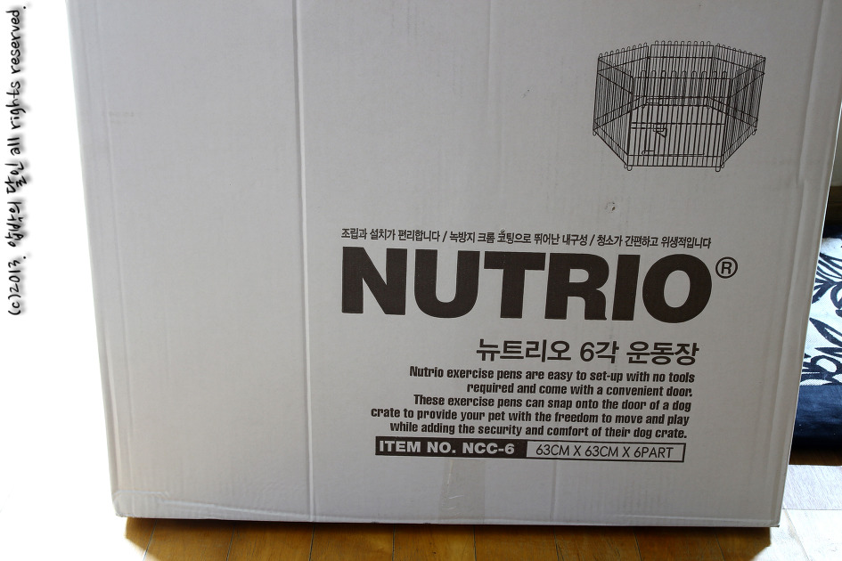 "다음 회식이 언제냐고요?"
