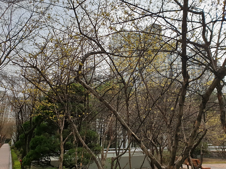 산책을 하면 기분이 좋아져요/ 우리 아파트에서 ....