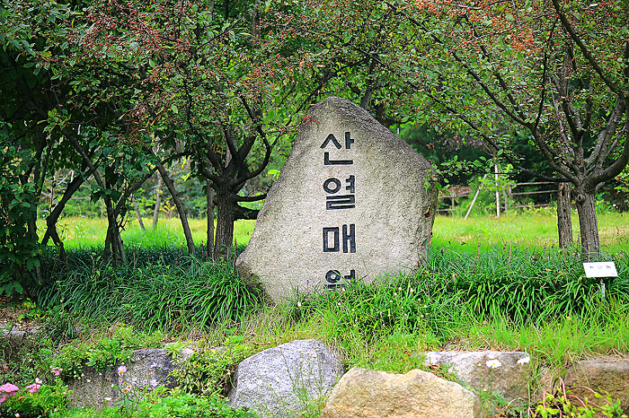 황학산수목원 이미지