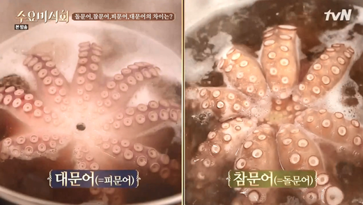 문어집 이미지