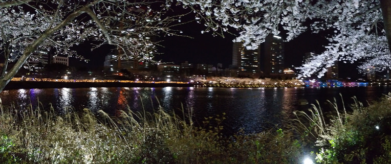 석촌 벗꽃 축제