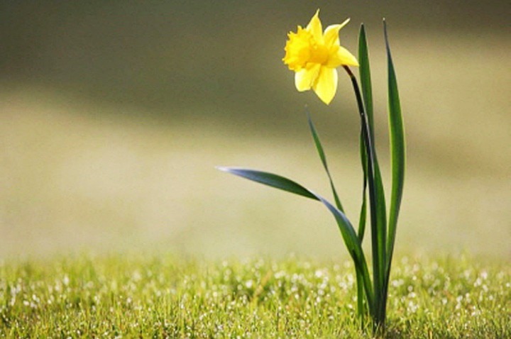 99AF7A3C5E817CB625A903