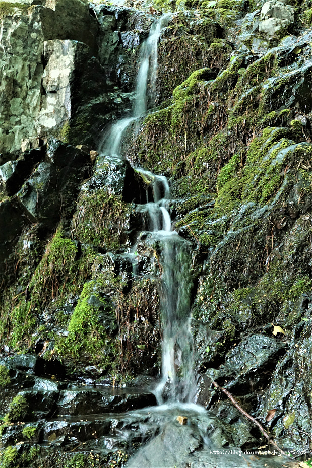기해년 춘계 수도회 1 이미지