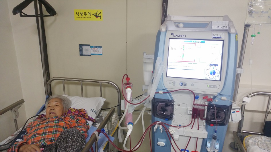 무명초 어머님의 병간호 일기 2월.