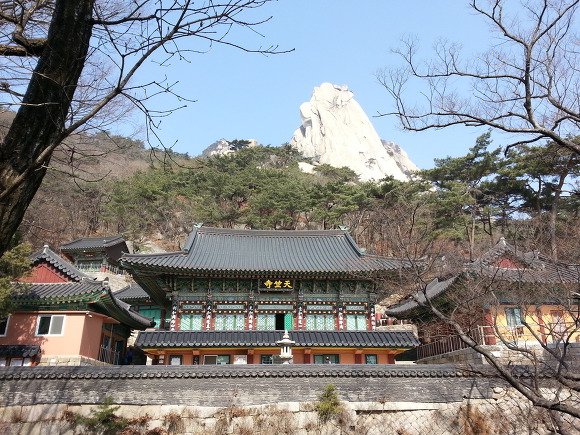 [하루 한문장] 