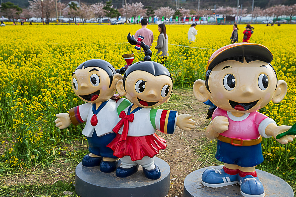 유채꽃축제
