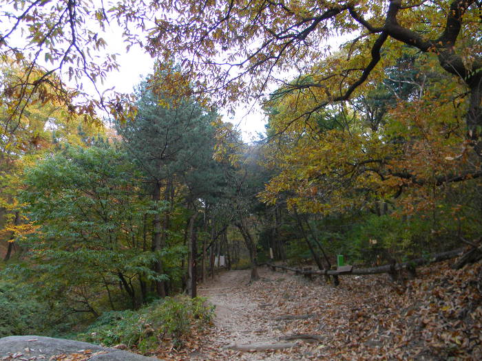 만추에 잠긴 북악산 백사실계곡 (백석동천, 백사폭포)