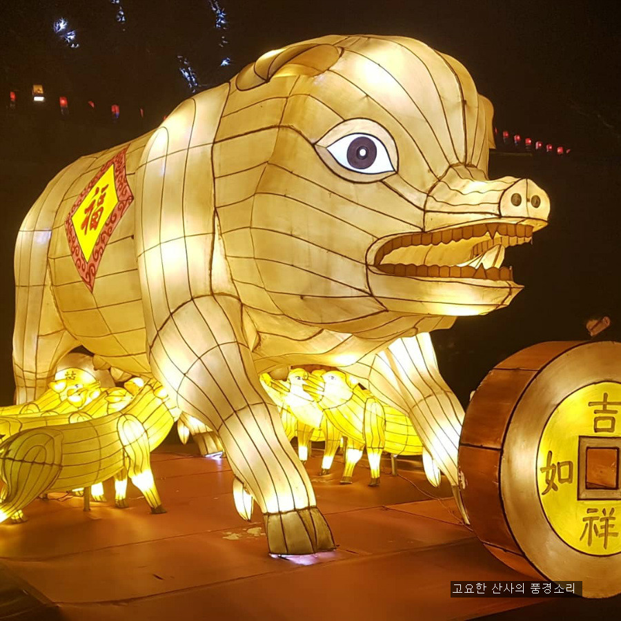 황금돼지의 해가 활짝 열렸습니다.