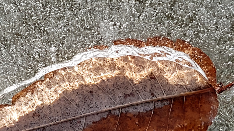 [휴대폰 들고 얼음나라 탐방] DPAK 경주지회 회원과 함께 어름나라 아침탐방을 하다 / 토함