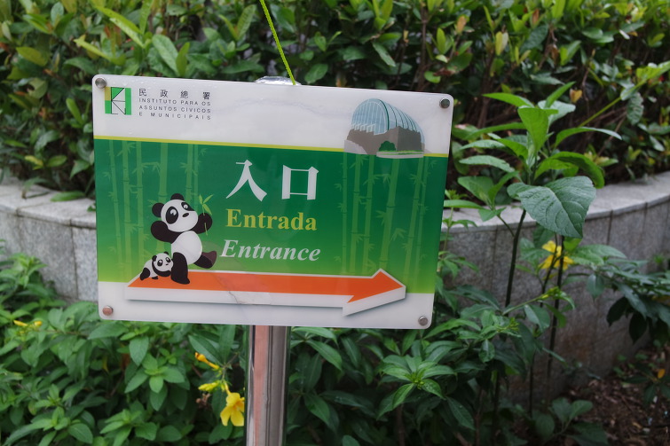 [마카오 Macao 澳门 여행] Giant Panda Pavilion 자이언트 판다 파빌리온
