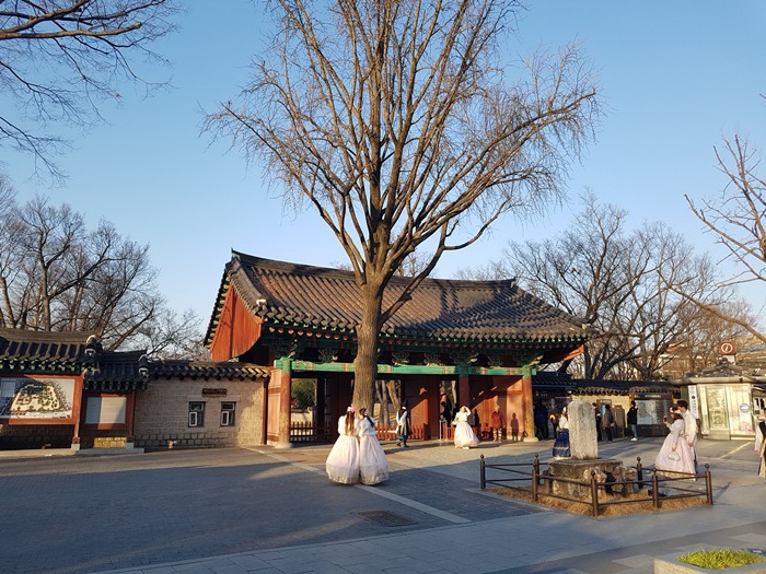 원본이미지(클릭)