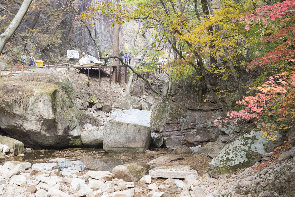 왕을 따라 걷는 길 / 충북 속리산 법주사 세조길