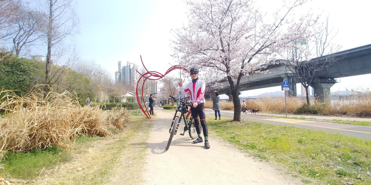 여의도 벗꽃 라이딩