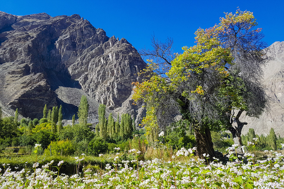 무엇이 날 부르는가? 신들 에게 버려진 땅 라다크.(투루둑마을)#3