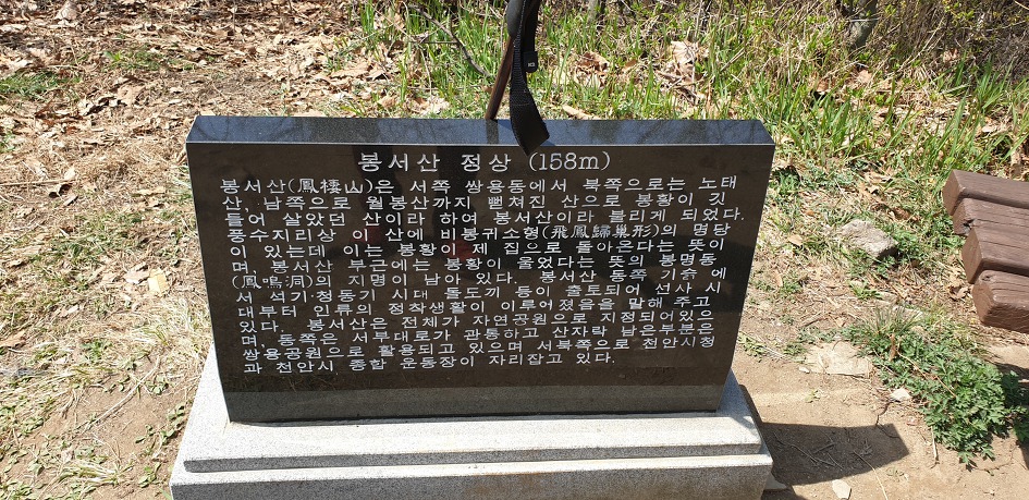 천안 봉서산 구름다리