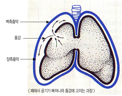 음경,수술 없이도 키울..
