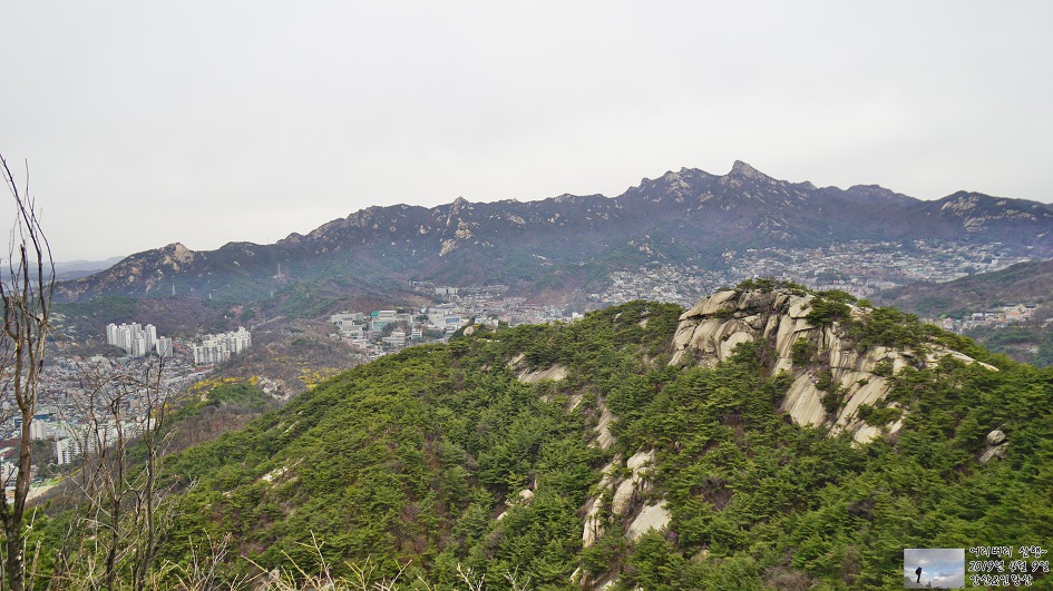 서대문,안산 & 인왕산...개나리,진달래가 흐드러지게 피어있고~