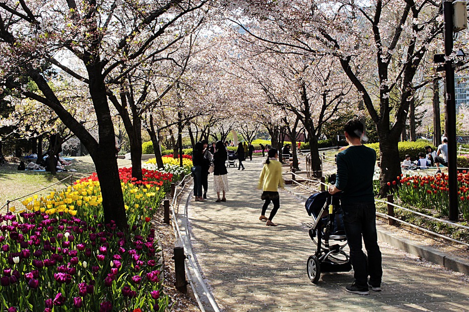 ♣♬ 김해시 연지공원 돌아보기[20190404]♪♣