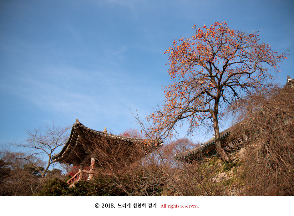 마음을 열어 깨달음을 얻는 절 서산 상왕산 개심사~ 